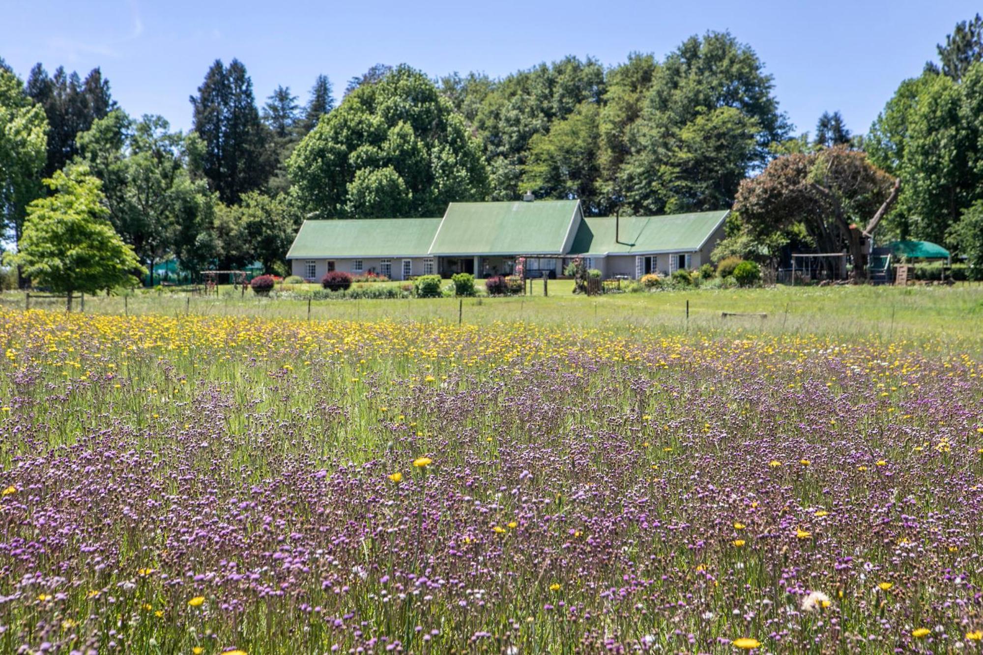 Khanyeni Himeville Exterior photo
